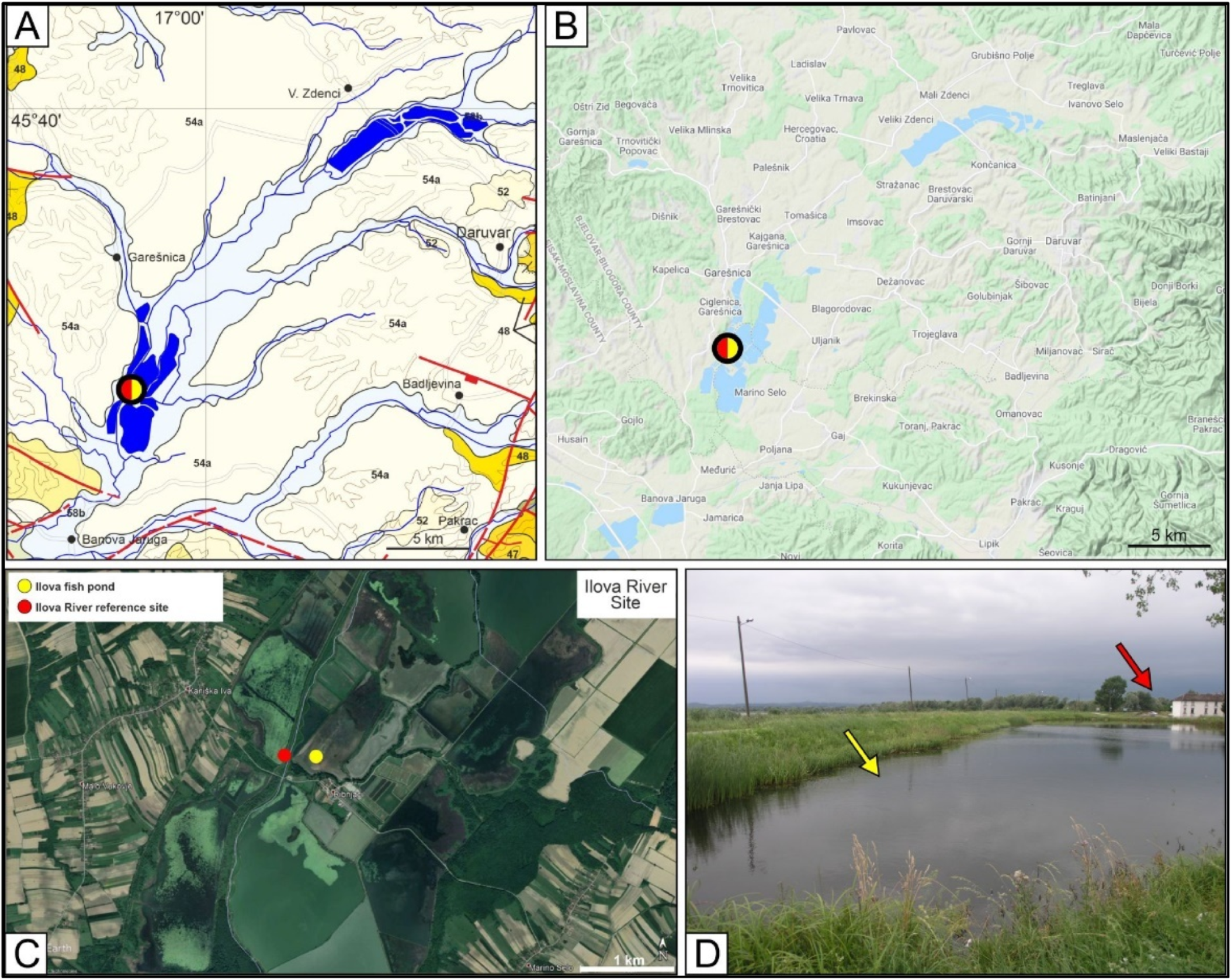 Minerals 12 00696 g002