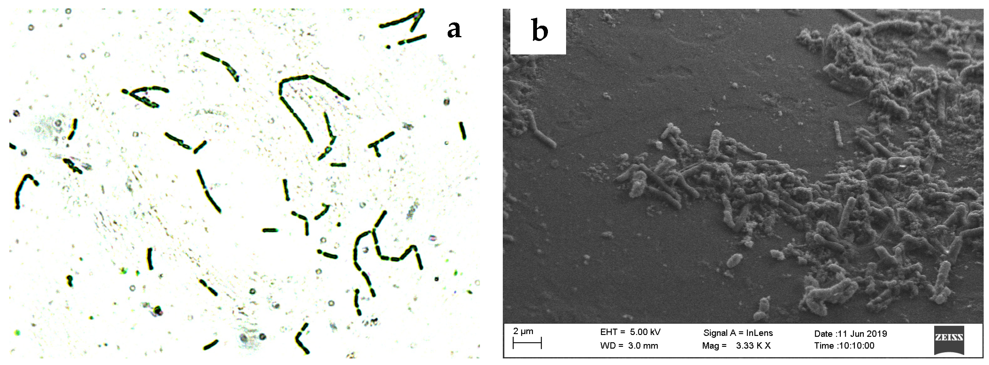 Minerals 12 00701 g002a