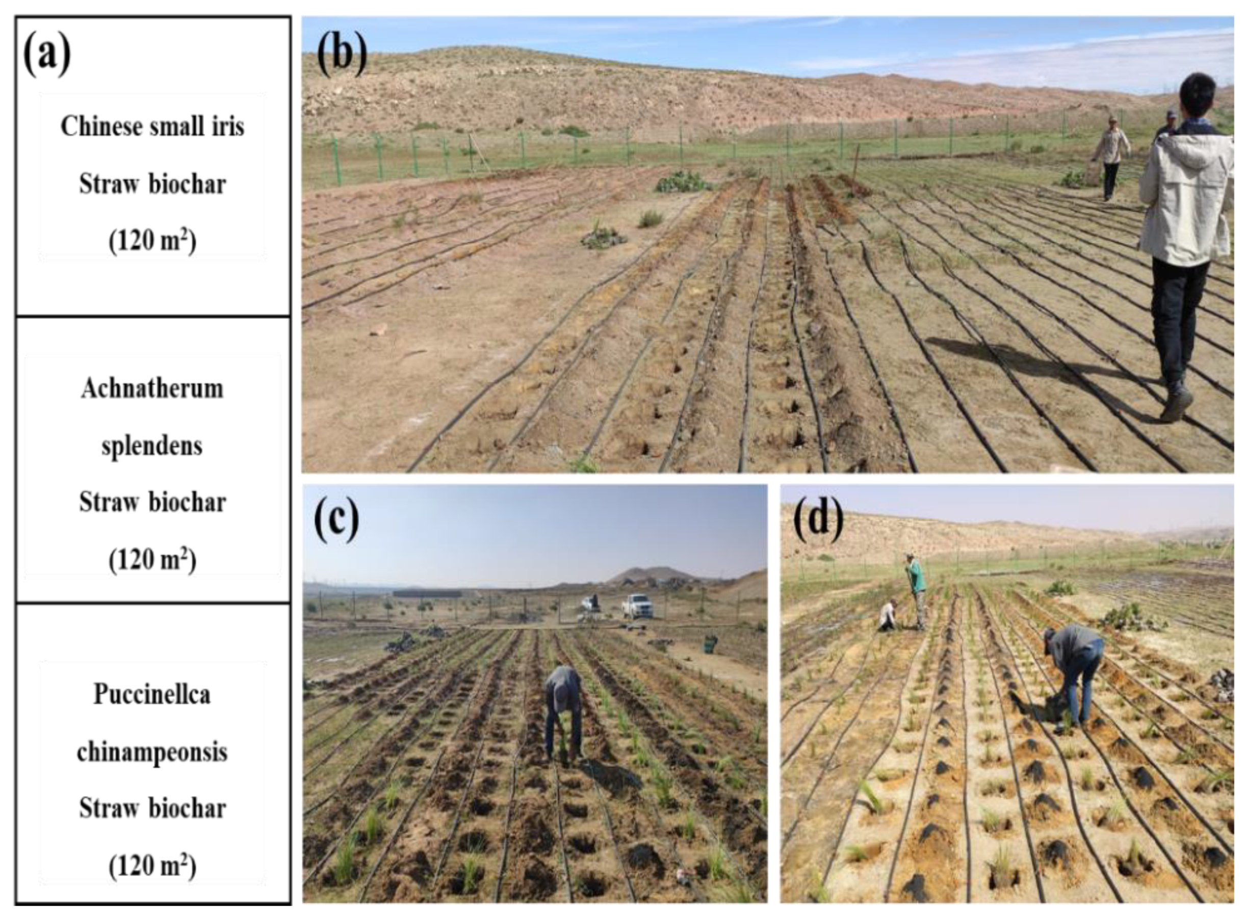 Minerals 12 00702 g004