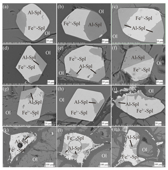 Fluid-Induced Inhomogeneous Cr-spinel in Dunite and Wehrlite