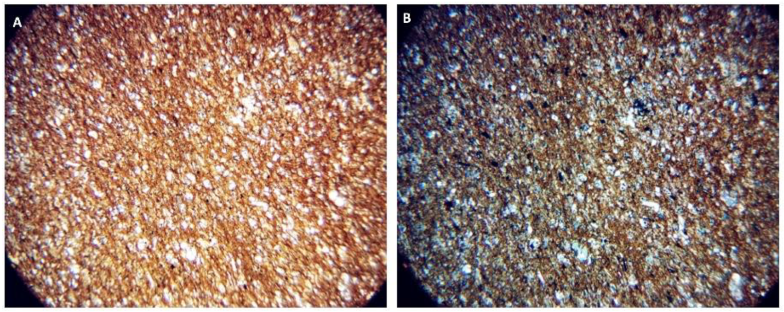 Minerals 12 00728 g0a12