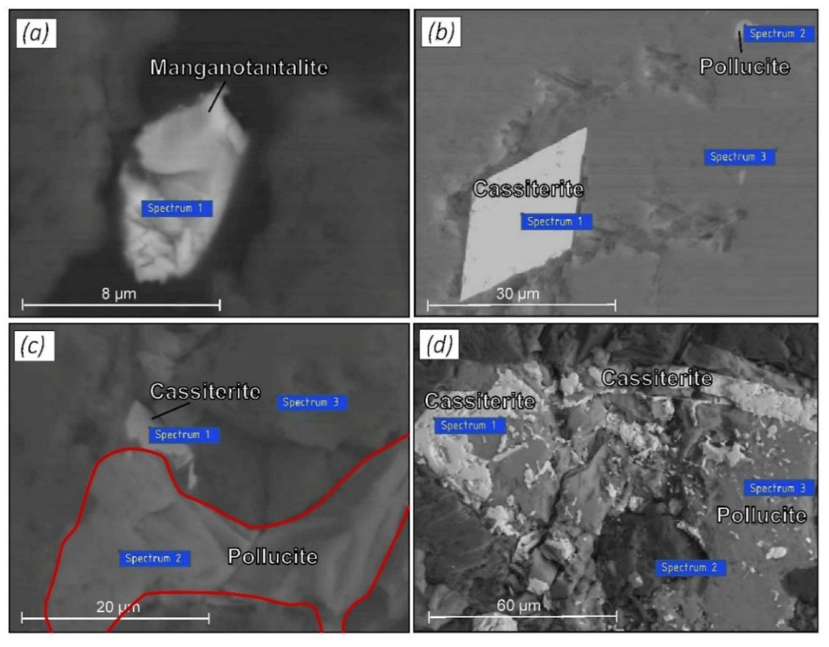Minerals 12 00744 g007 550