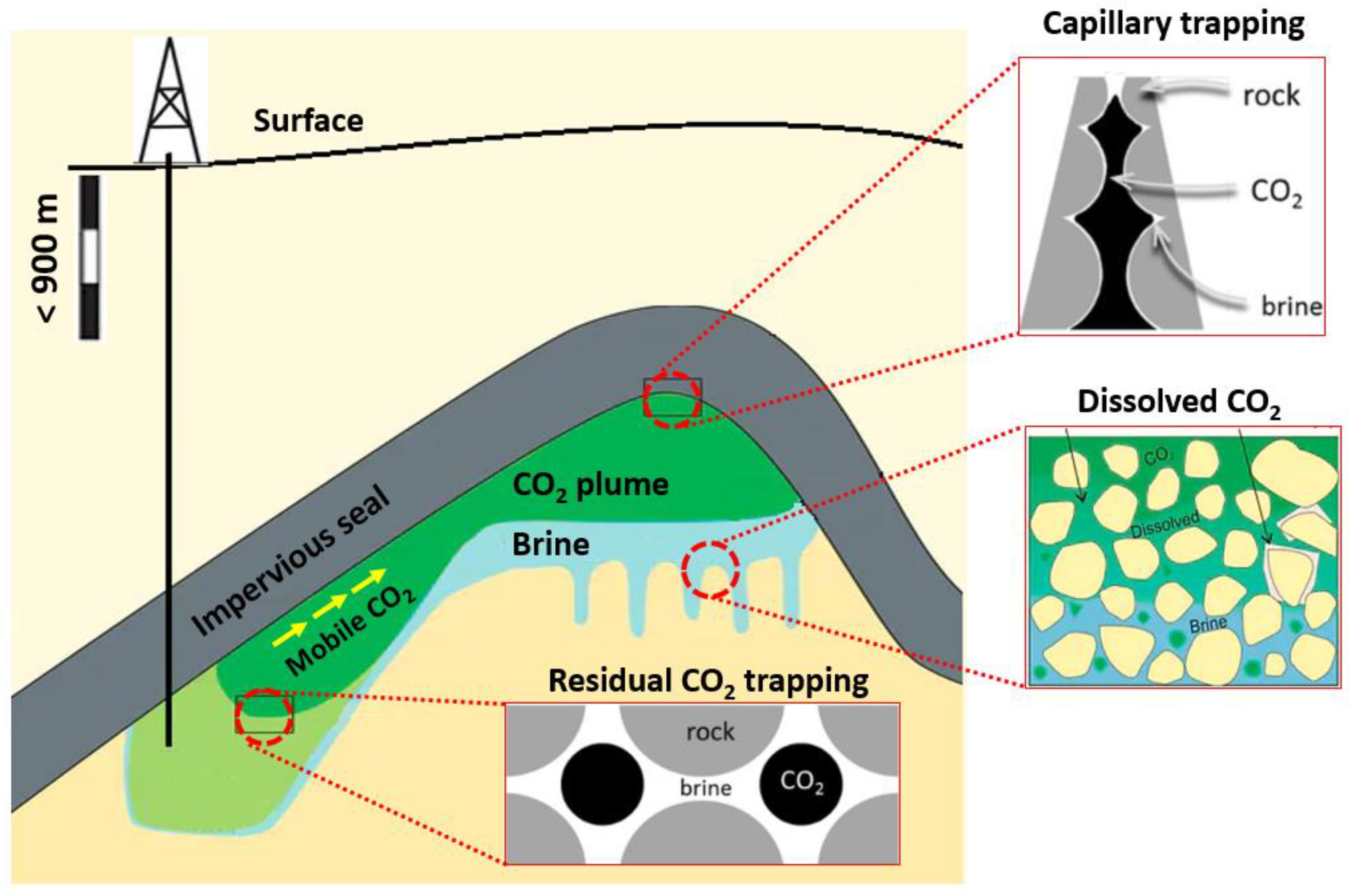 Minerals | Free Full-Text | Modeling of Brine/CO2/Mineral