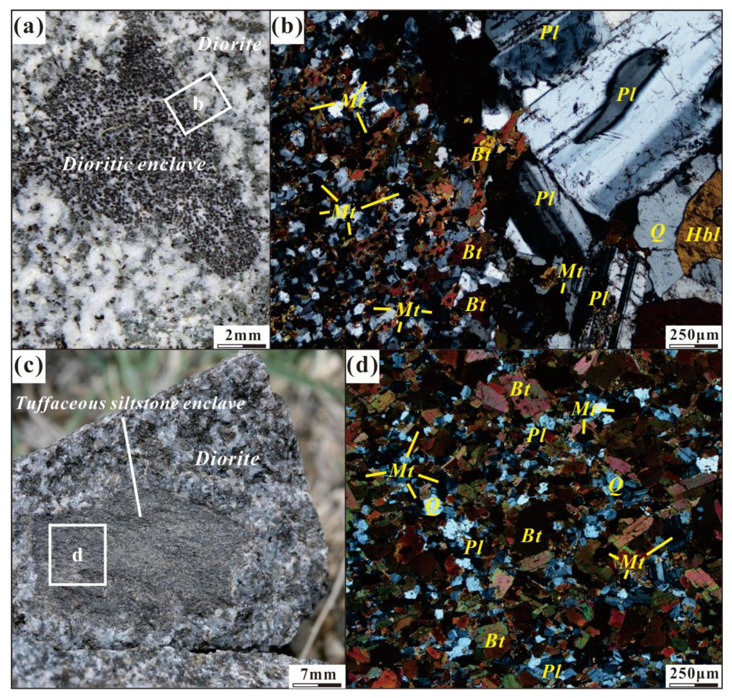 Minerals 12 00815 g004 550