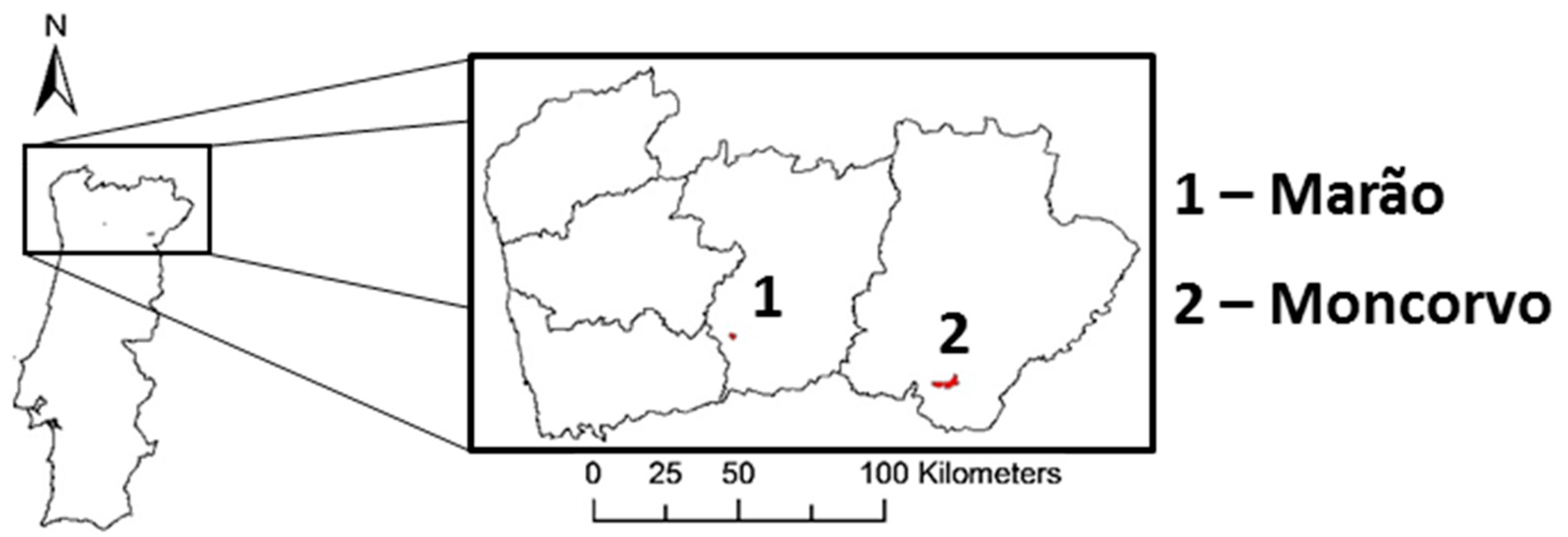 Minerals 12 00816 g002 550