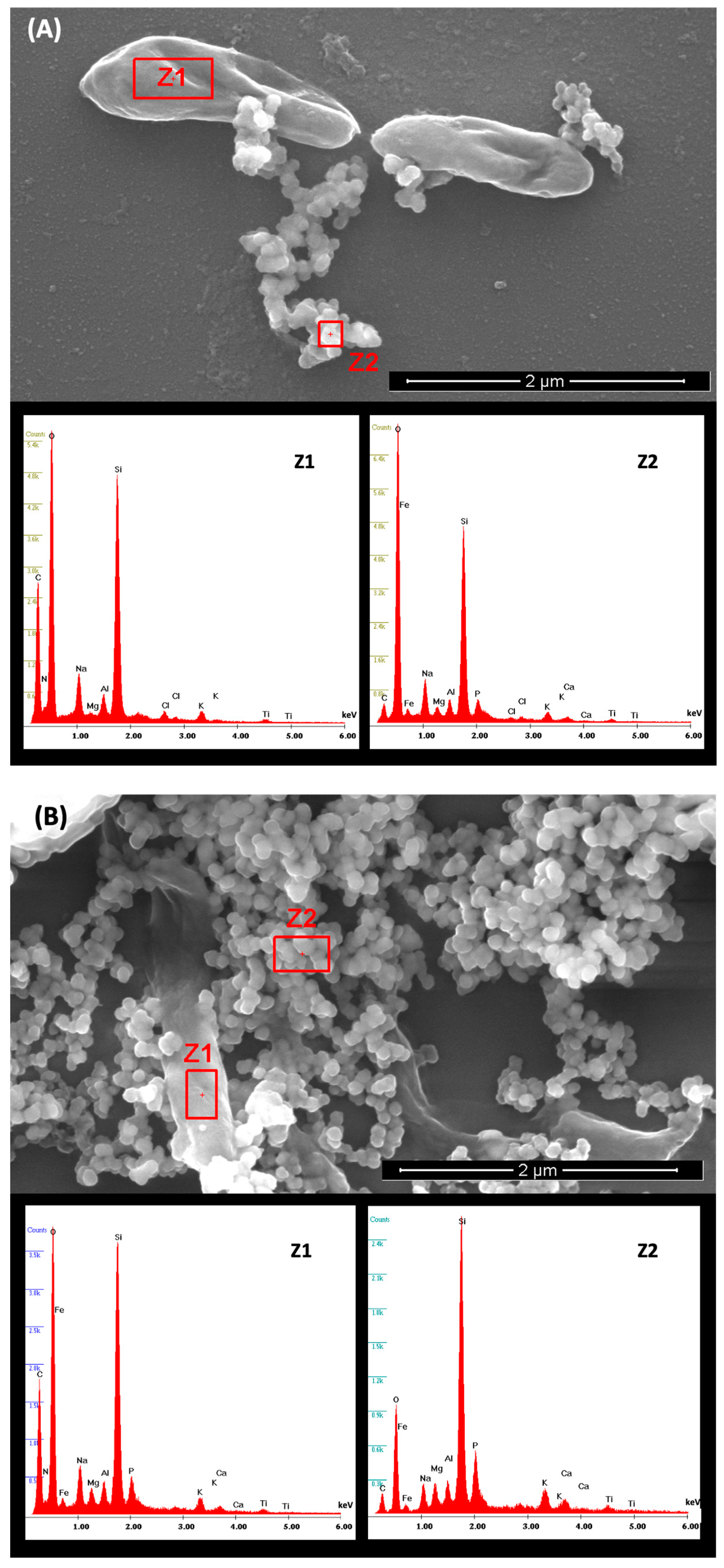 Minerals 12 00816 g006 550