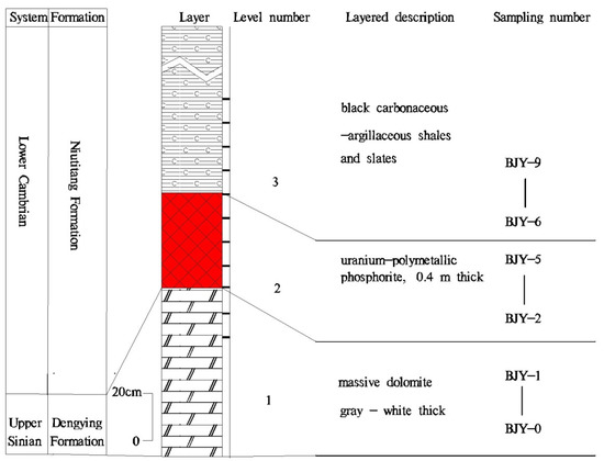 New Evidence of Submarine Exhalative Sedimentation in the