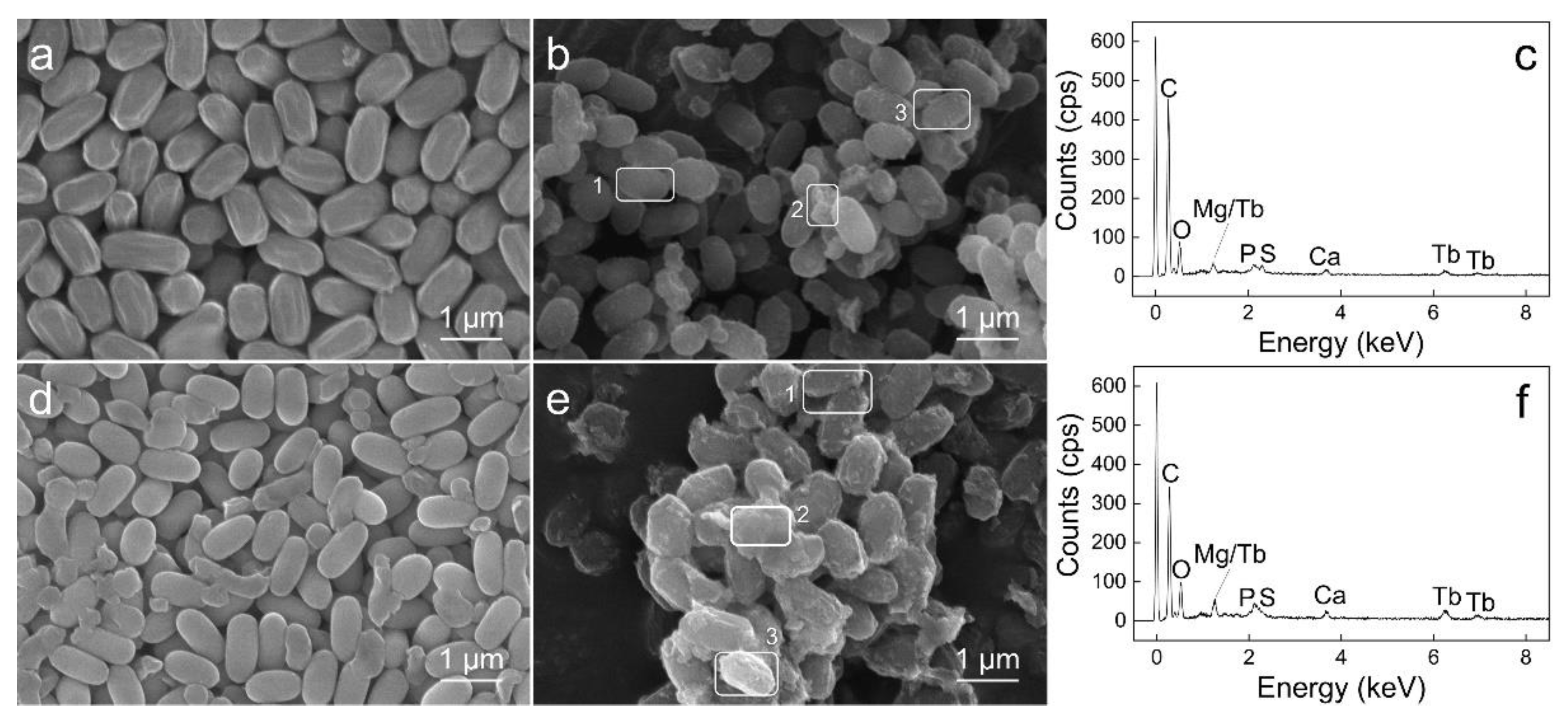 Minerals 12 00866 g005