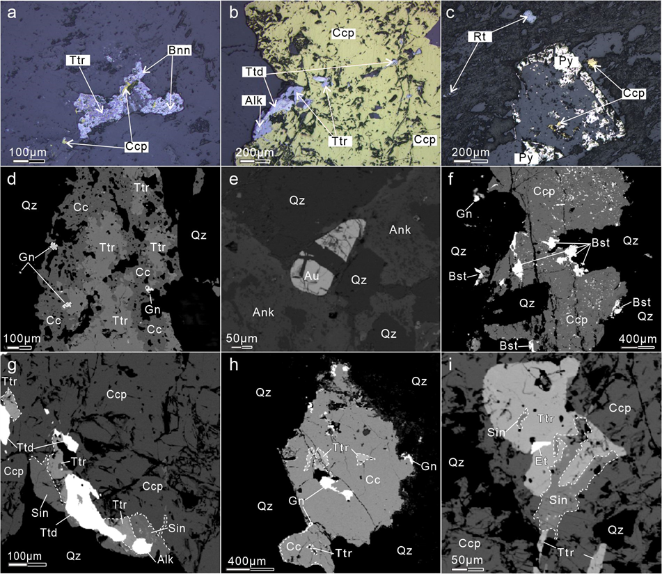 Minerals 12 00867 g005