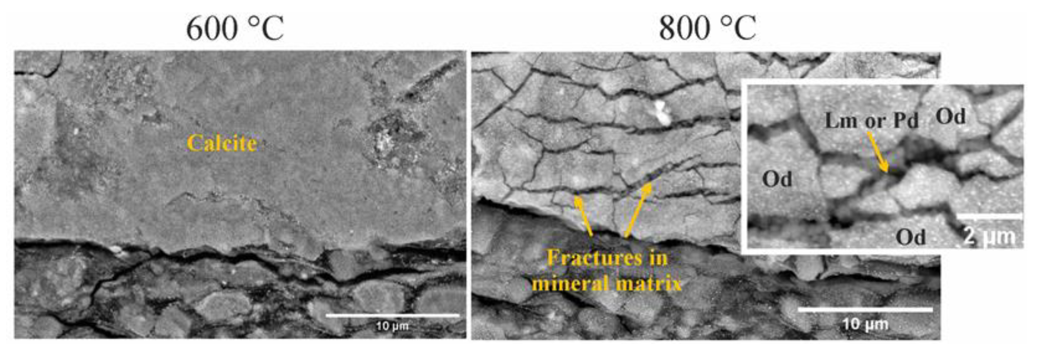 Minerals 12 00870 g006