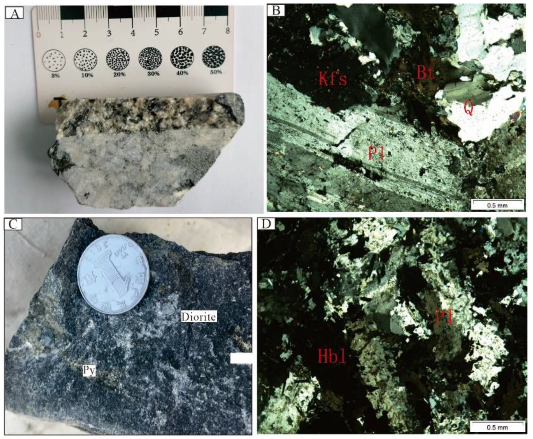 Geochemistry, Zircon U–Pb Ages, and Hf Isotopes of the Devonian Mafic and Acidic Dykes of the Jinba Gold Deposit, NW China: Petrogenesis and Tectonic Implications Geochemistry, Zircon U–Pb Ages, and Hf Isotopes of the Devonian Mafic and Acidic Dykes of the Jinba Gold Deposit, NW China: Petrogenesis and Tectonic Implications