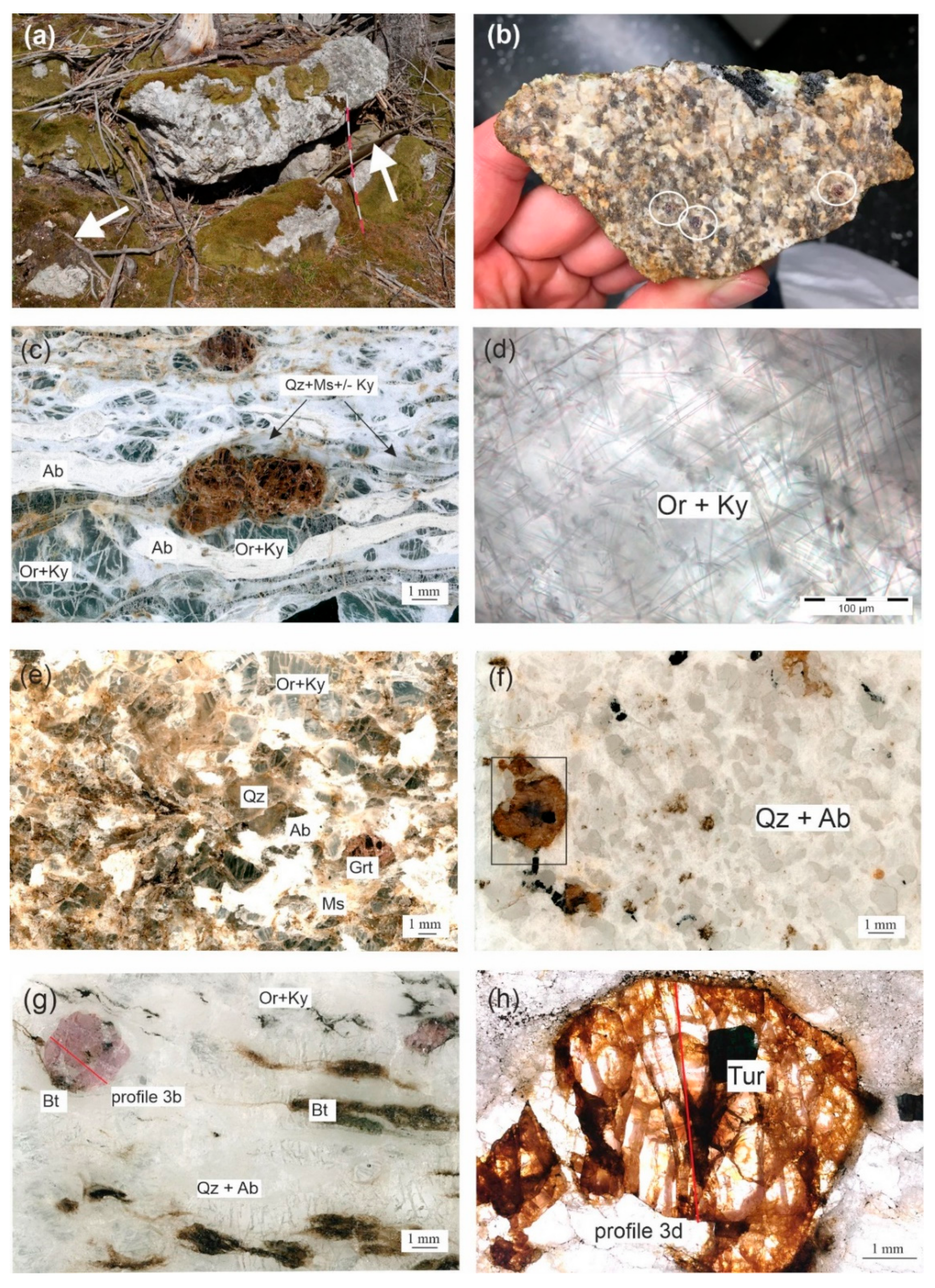 Minerals 12 00873 g002