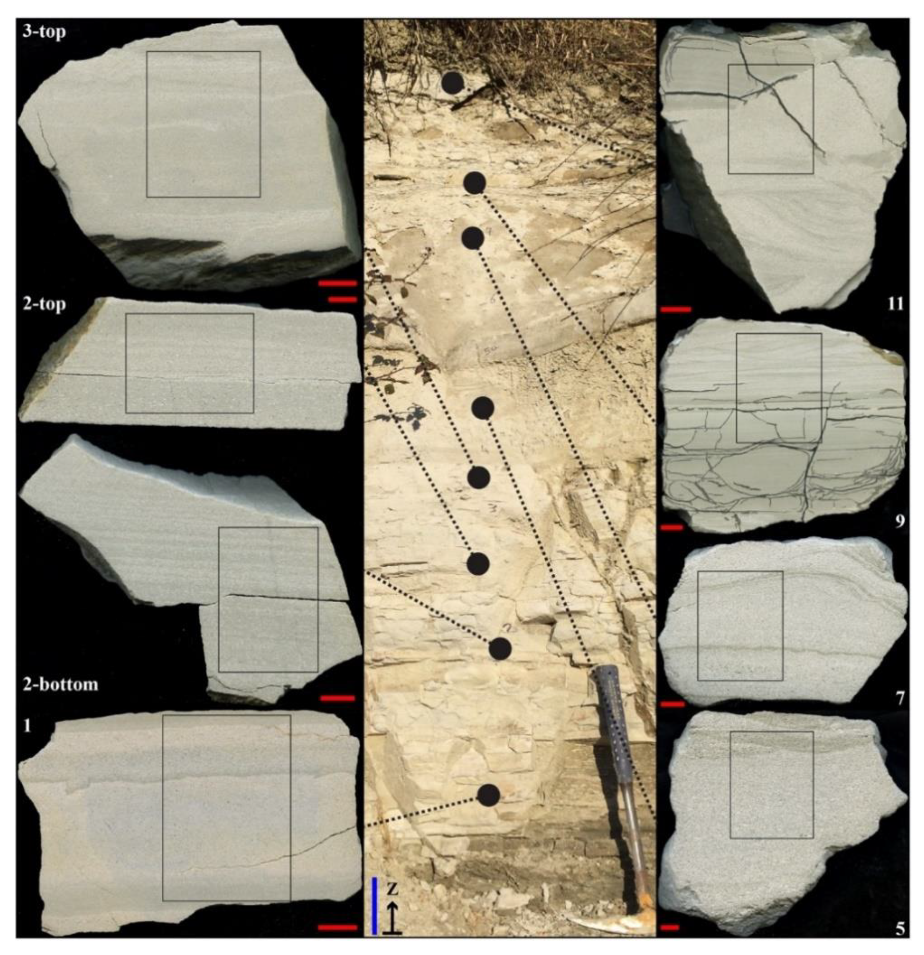 Minerals 12 00893 g002