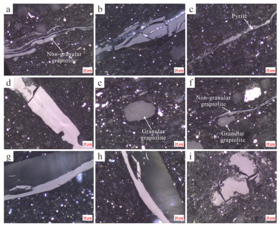 earth from above 「NUMBERED WITH THE 〜 4qiJah9FcA2MXS6q8MFByC.jpg