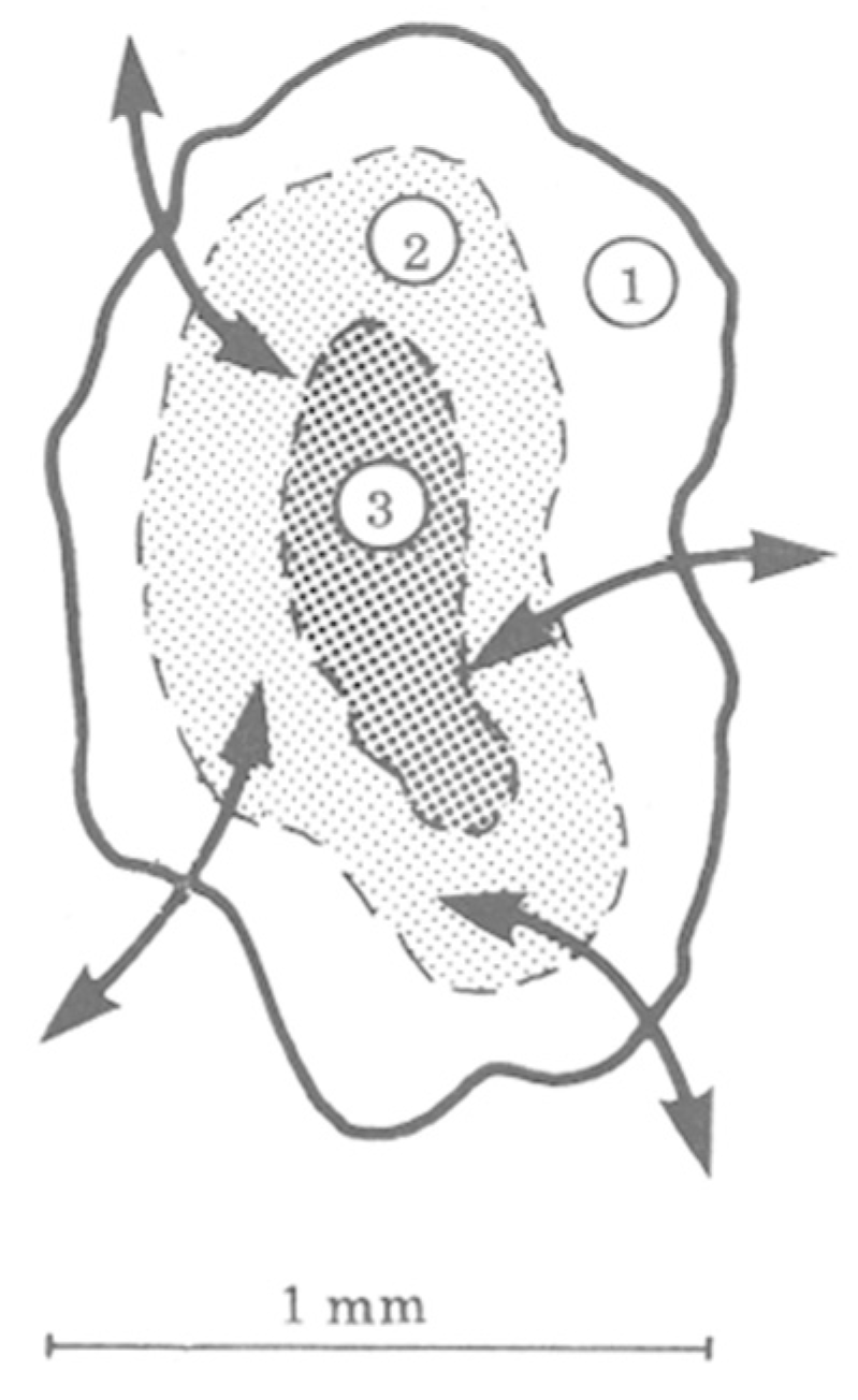 Minerals 12 00908 g004 550