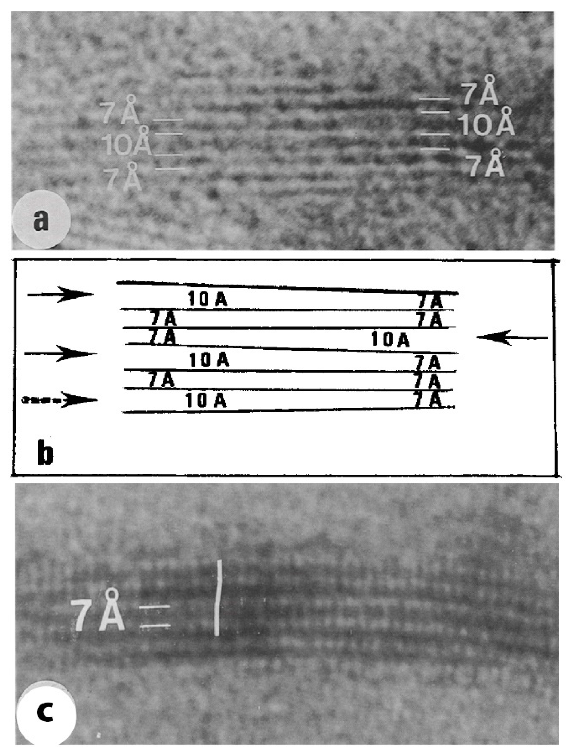 Minerals 12 00908 g009 550