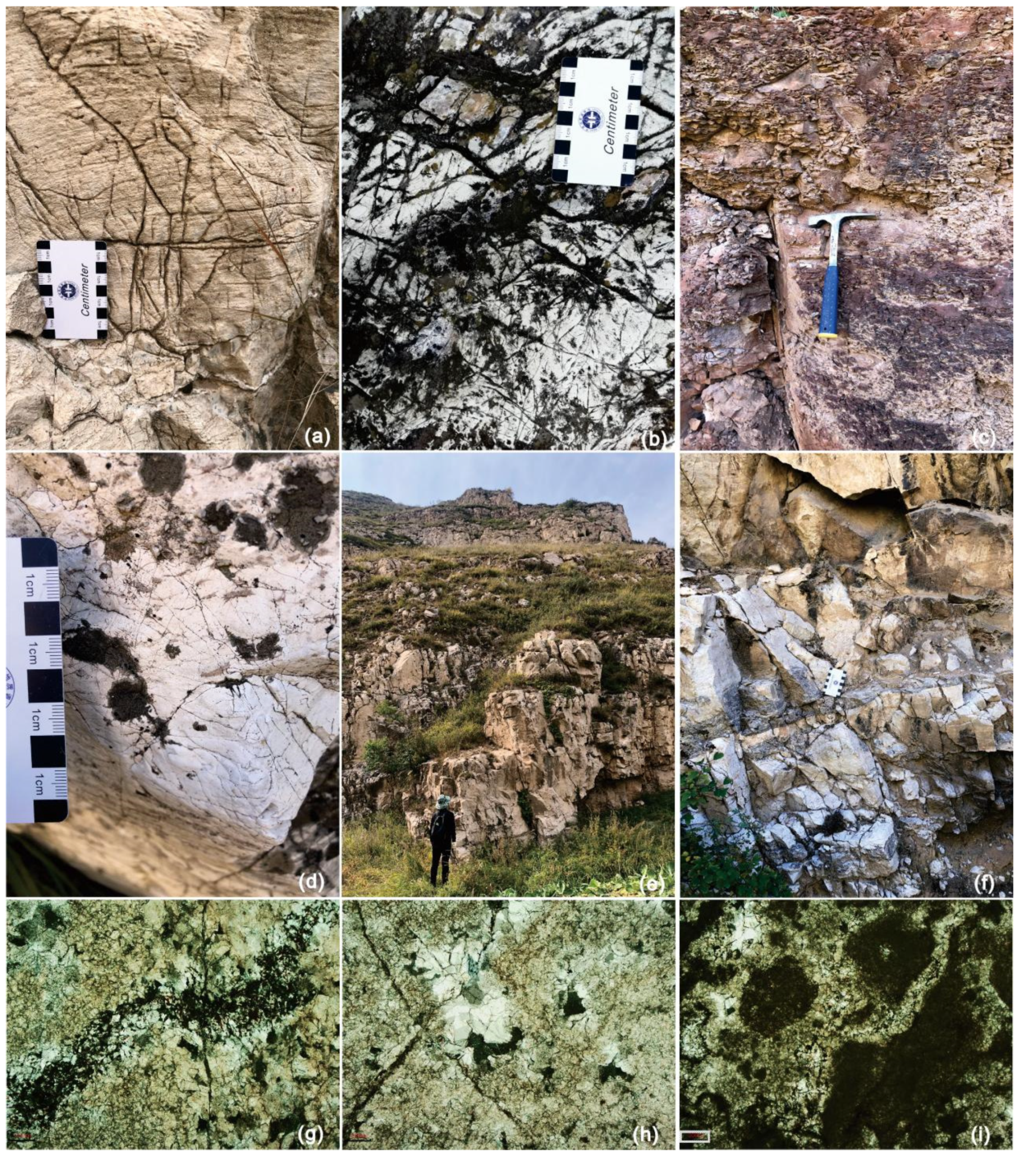 Minerals 12 00919 g007 550