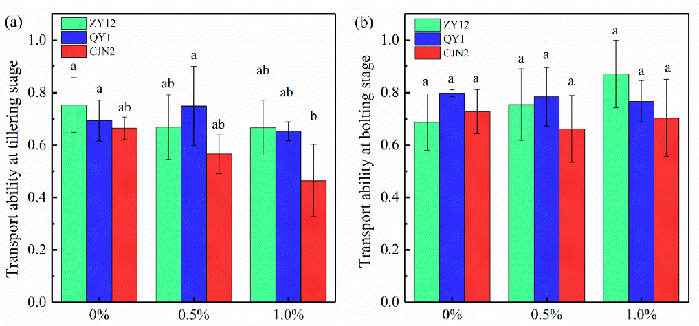 Minerals 12 00929 g004 Minerals 12 00929 g004