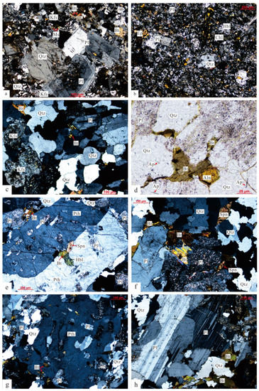 Early Cretaceous Granitoids Magmatism in the Nagqu Area