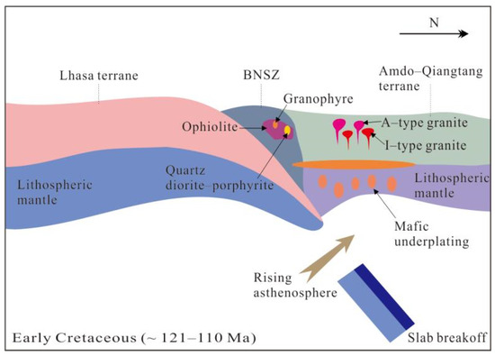 Early Cretaceous Granitoids Magmatism in the Nagqu Area