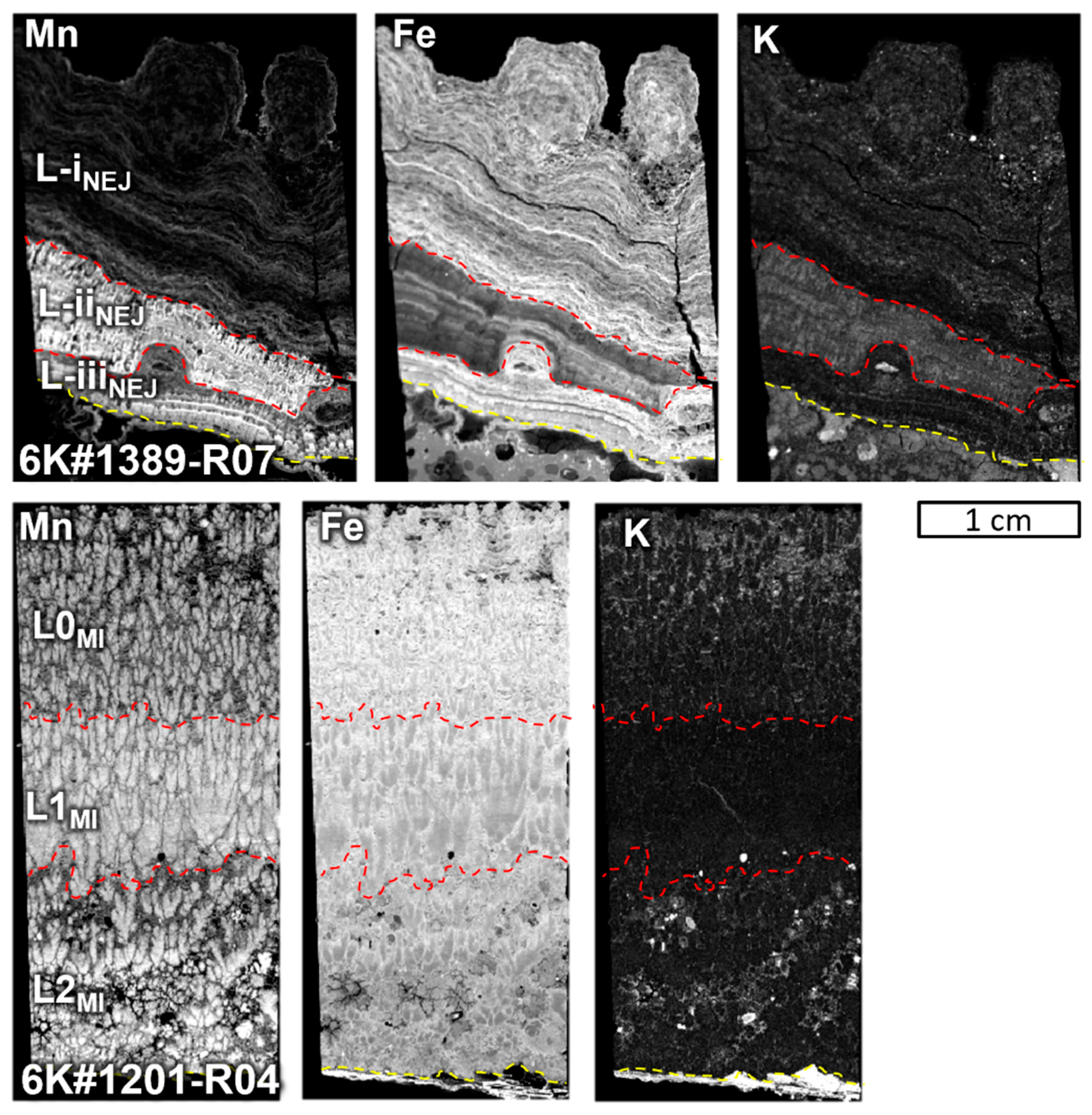 Minerals 12 00943 g003