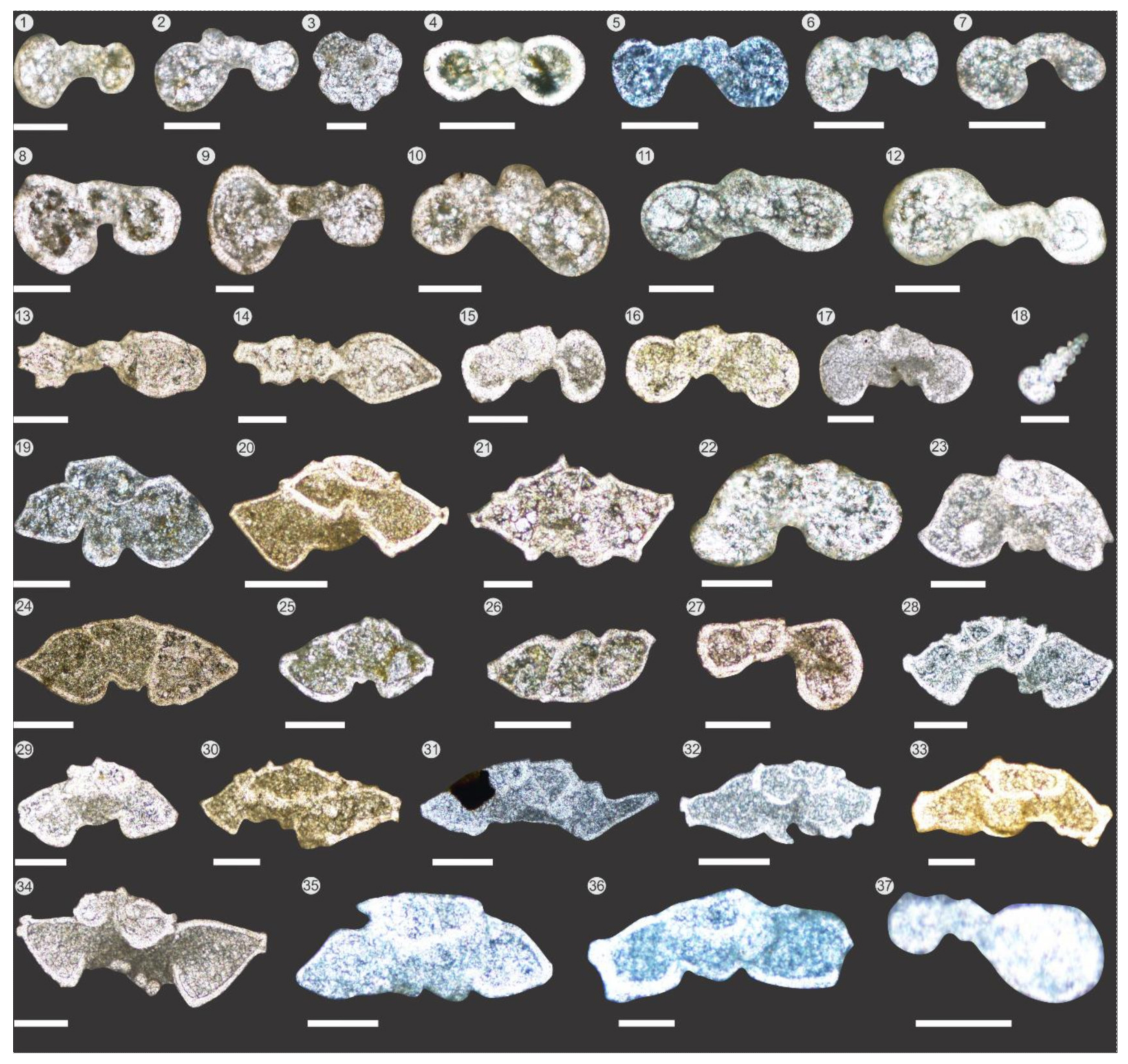 Minerals 12 00946 g003