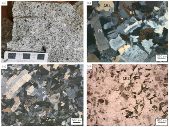 Petrogenesis of the Early Cretaceous Zhouguan Granodiorite