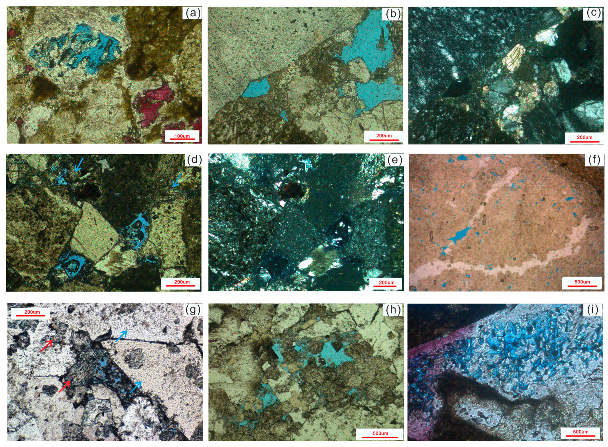 Minerals 12 00979 g006