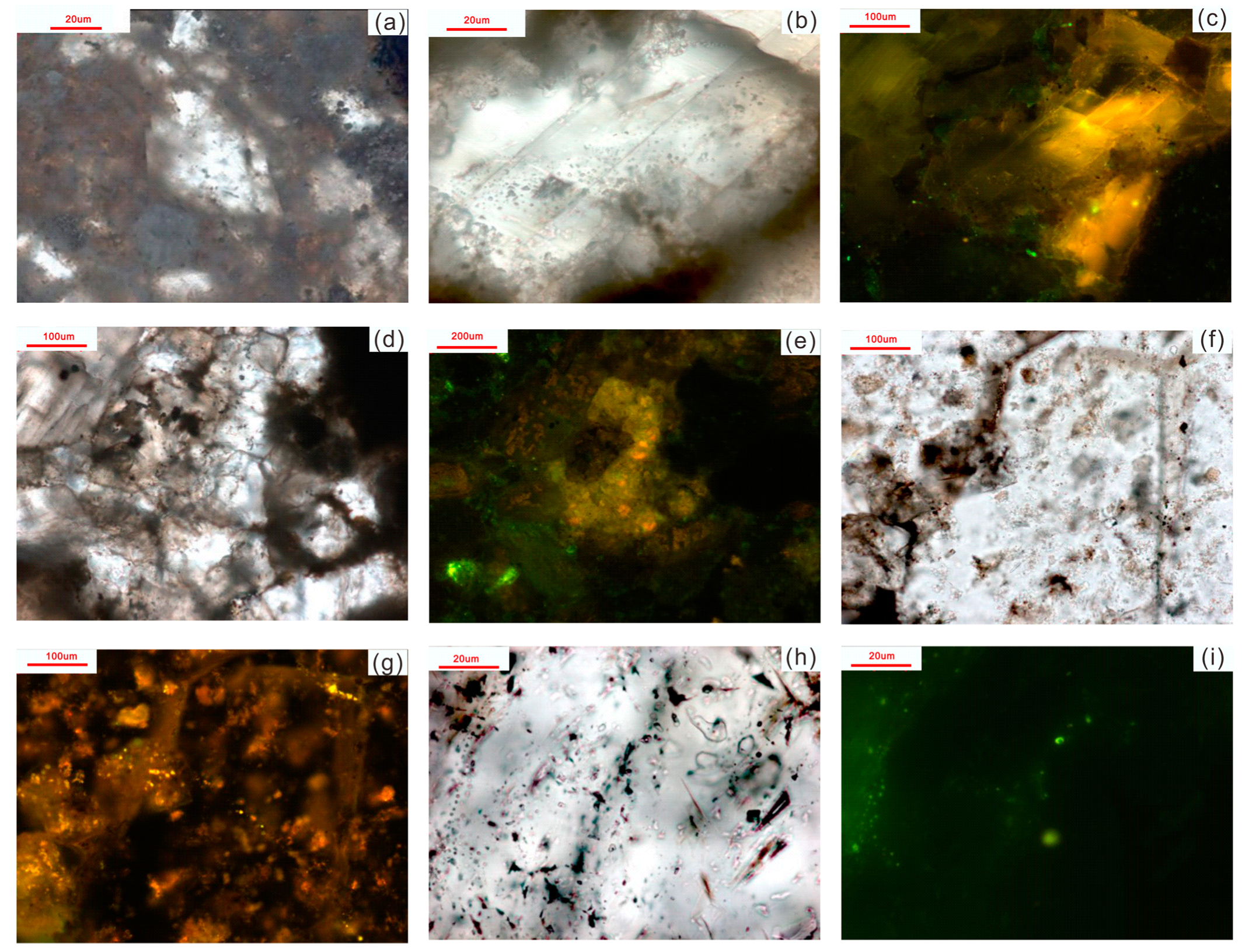 Minerals 12 00979 g010