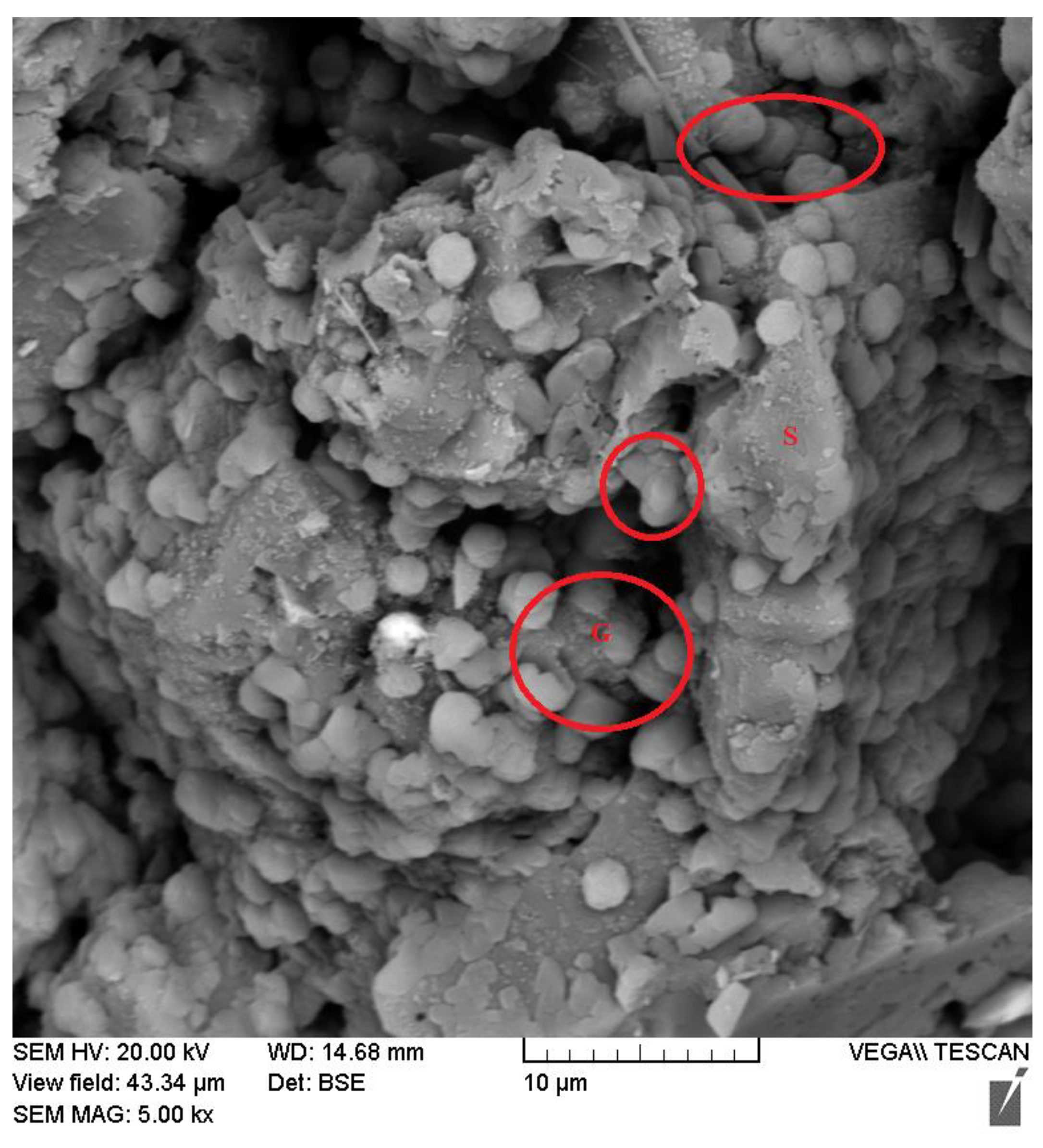 Minerals 12 00984 g013