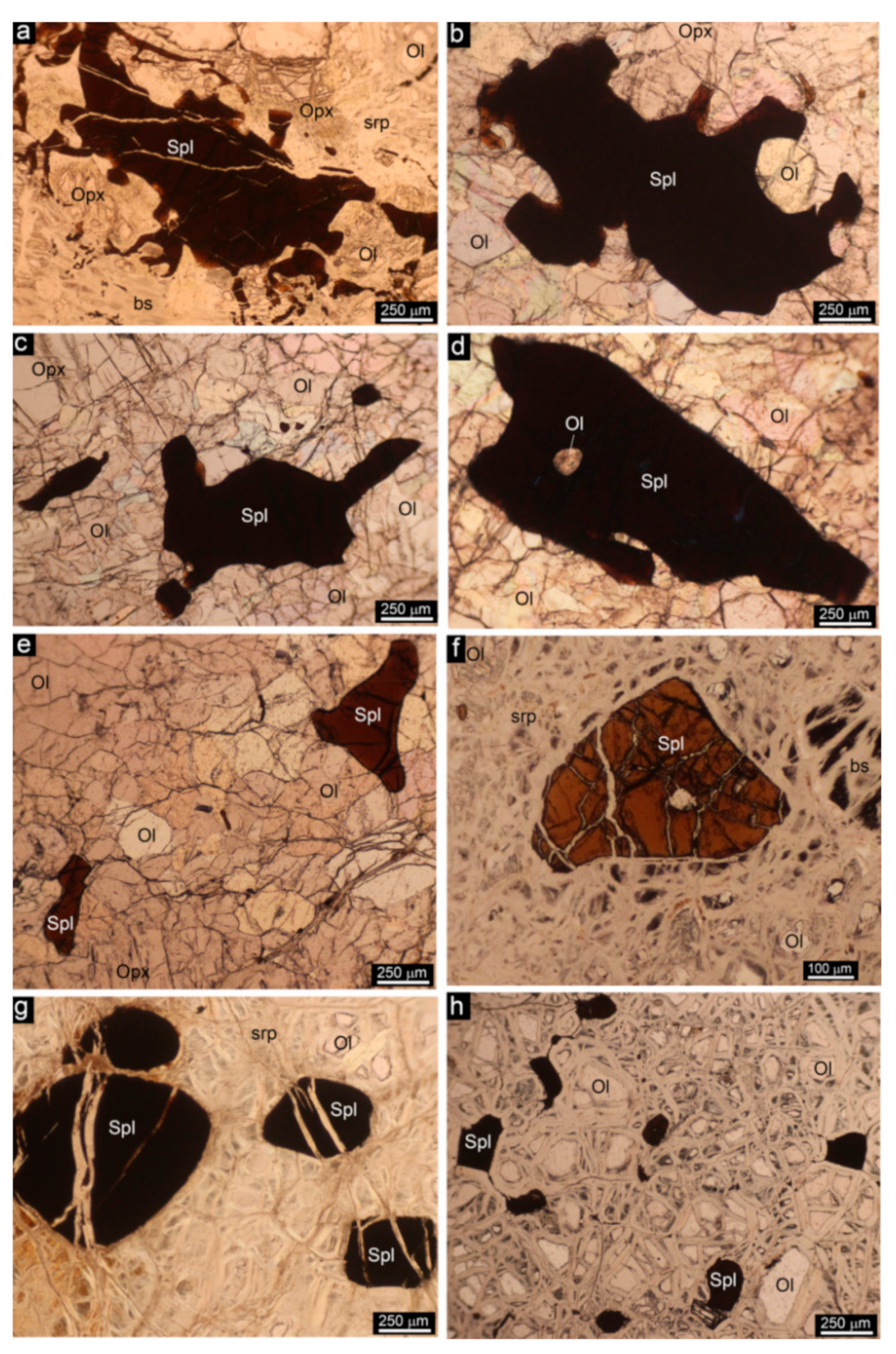 Minerals 12 01061 g004 Minerals 12 01061 g004