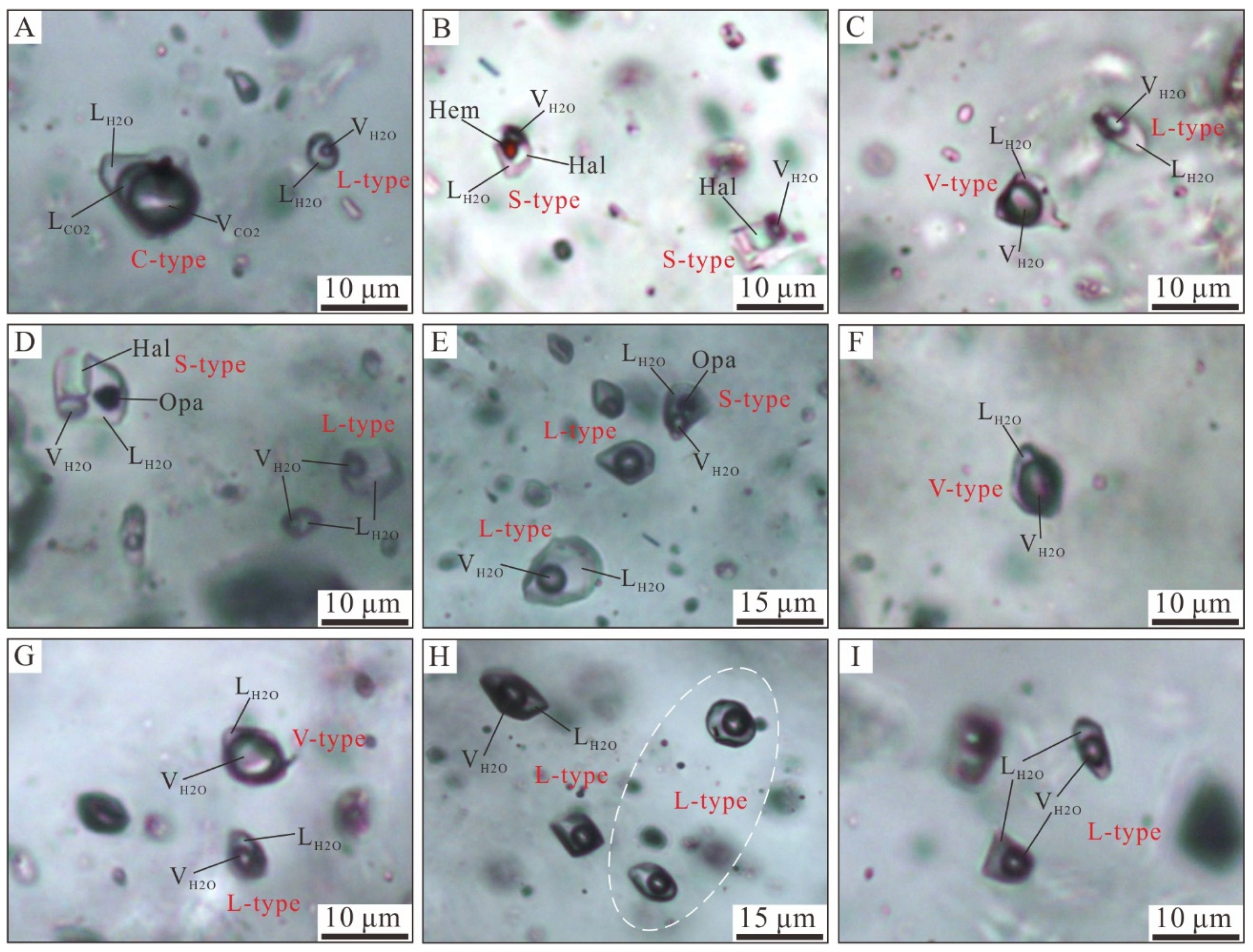Minerals 12 01072 g005 550