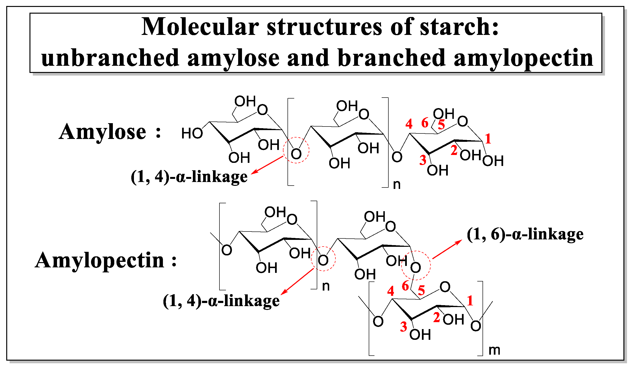 Minerals 12 01081 g001