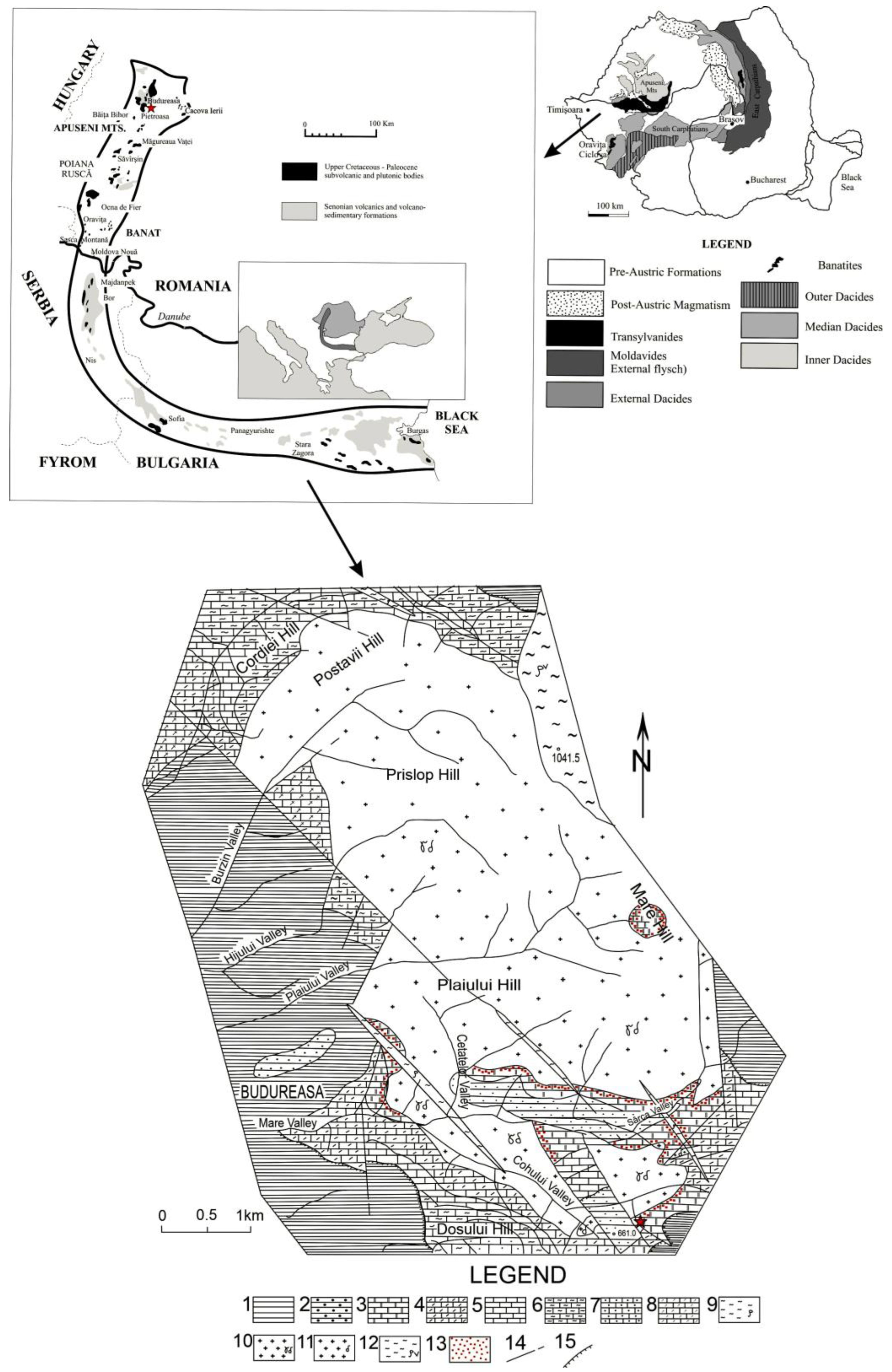 Minerals Free Full Text Carbonate Bearing F Overcompensated Fluorapatite In Magnesian Exoskarns From Valea Rea Budureasa Romania