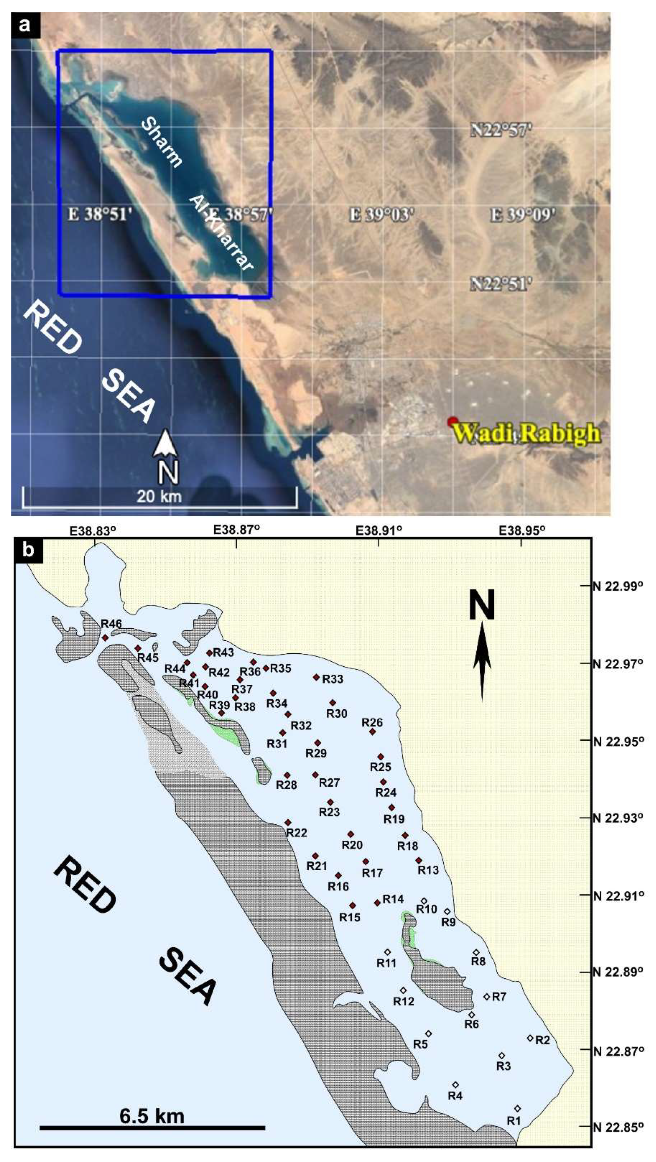 Minerals 12 01096 g001