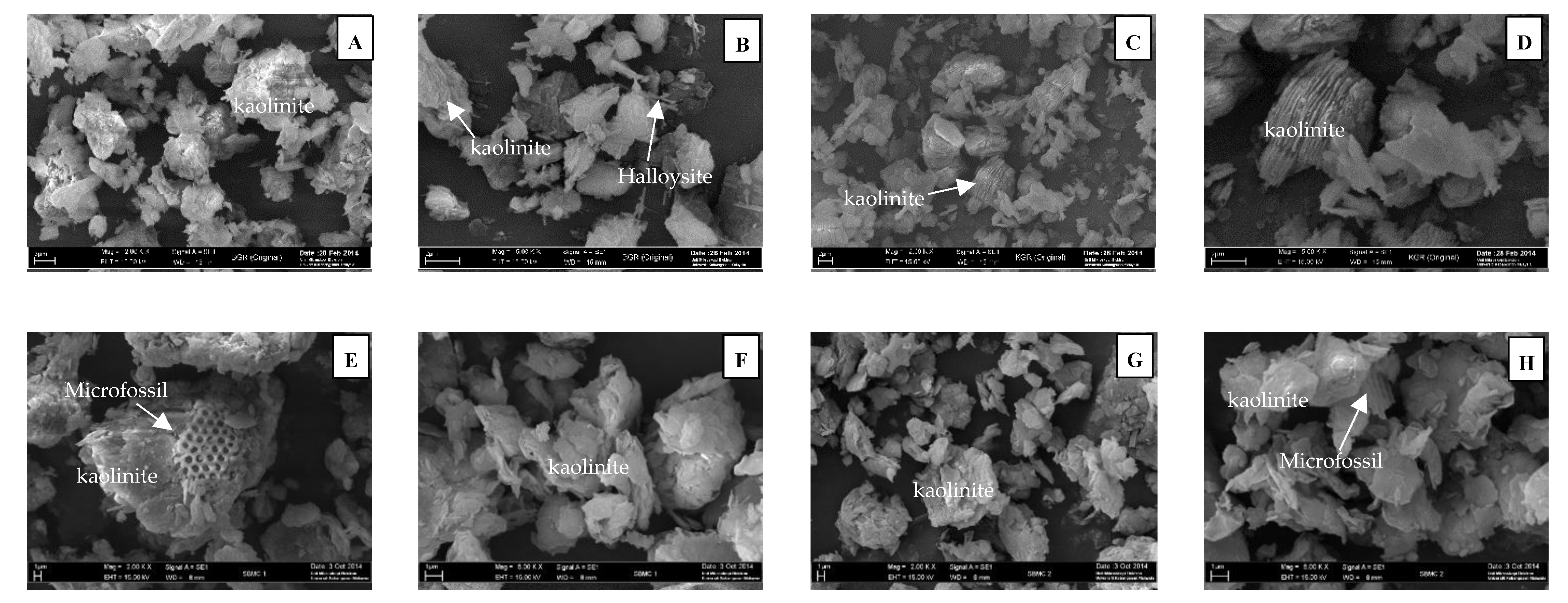 Minerals 12 01106 g003