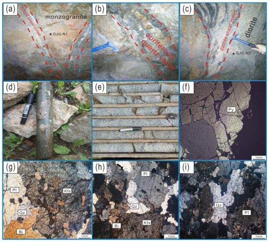 Zircon U–Pb Age and Geochemistry of Ore-Hosting Rocks from the