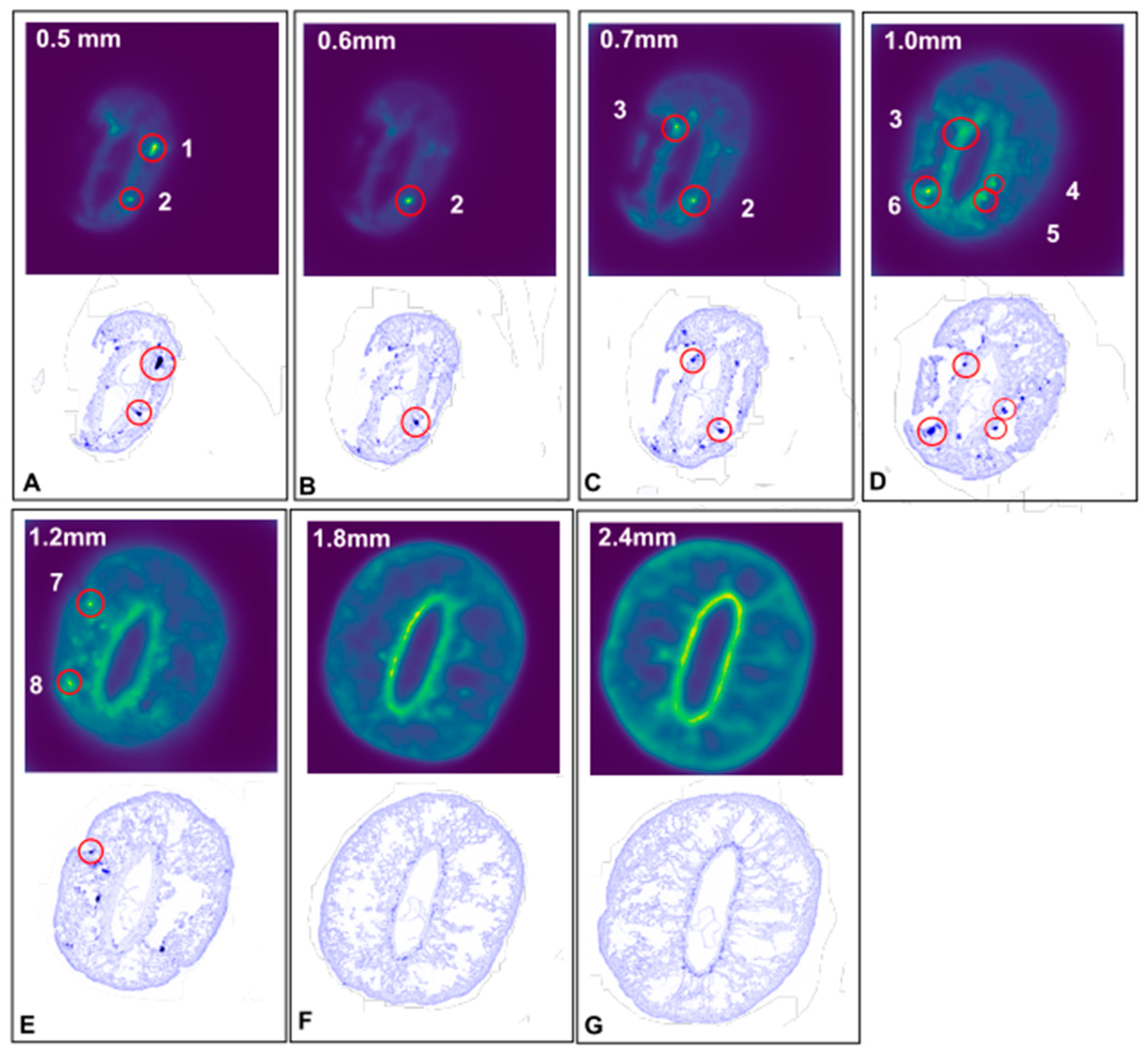 Minerals 12 01130 g007 550