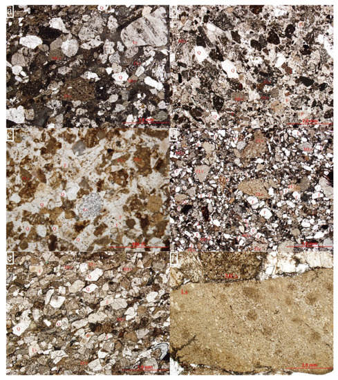 Reduction of eEF2 kinase alleviates the learning and memory