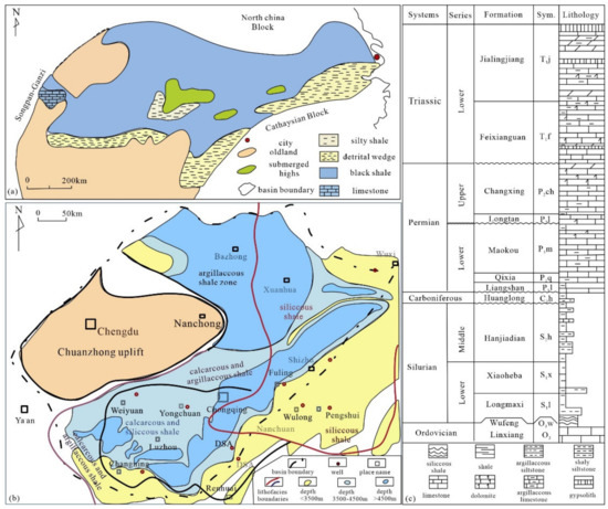 The Analysis of Bio-Precursor Organic Matter Compositions
