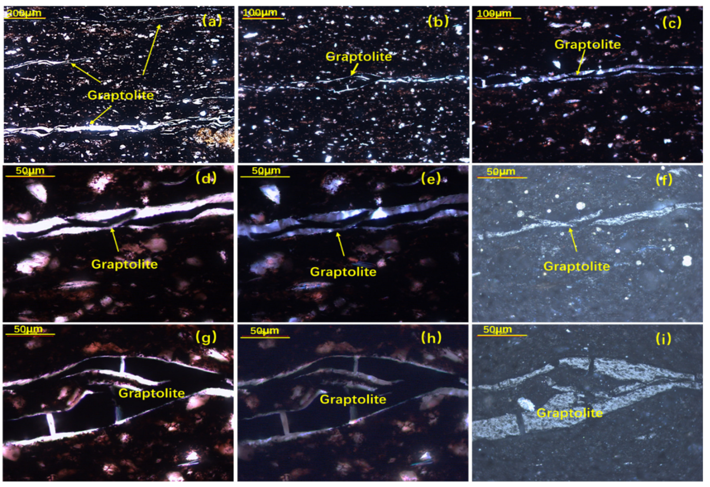 Minerals 12 01176 g003 550