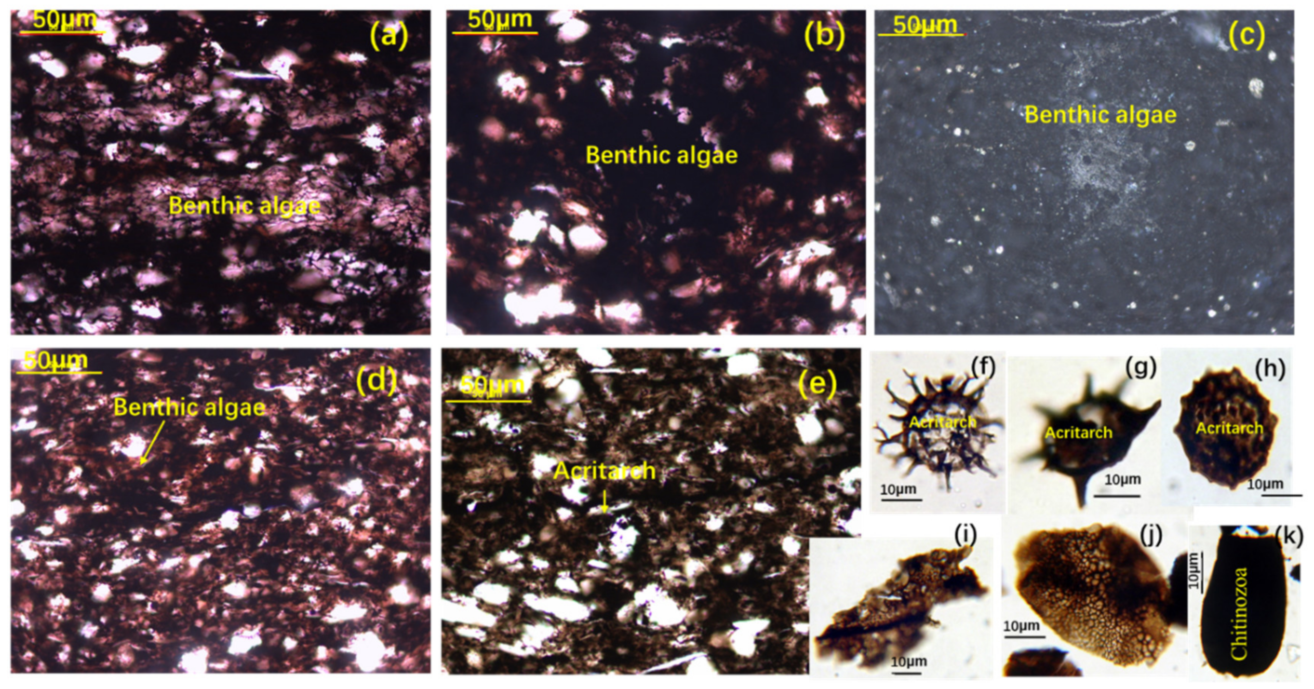 Minerals 12 01176 g004 550