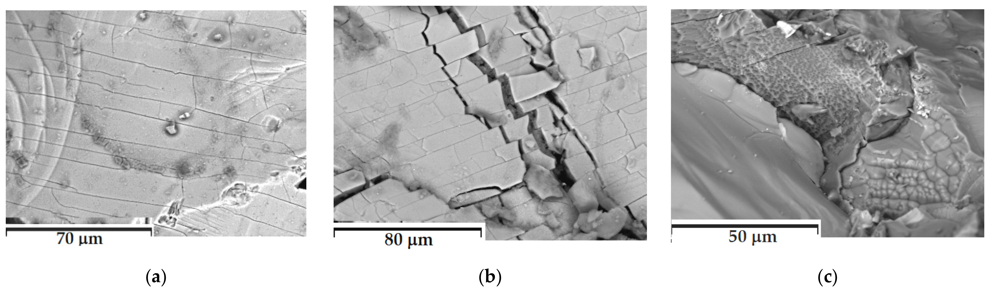 Minerals 12 01177 g006