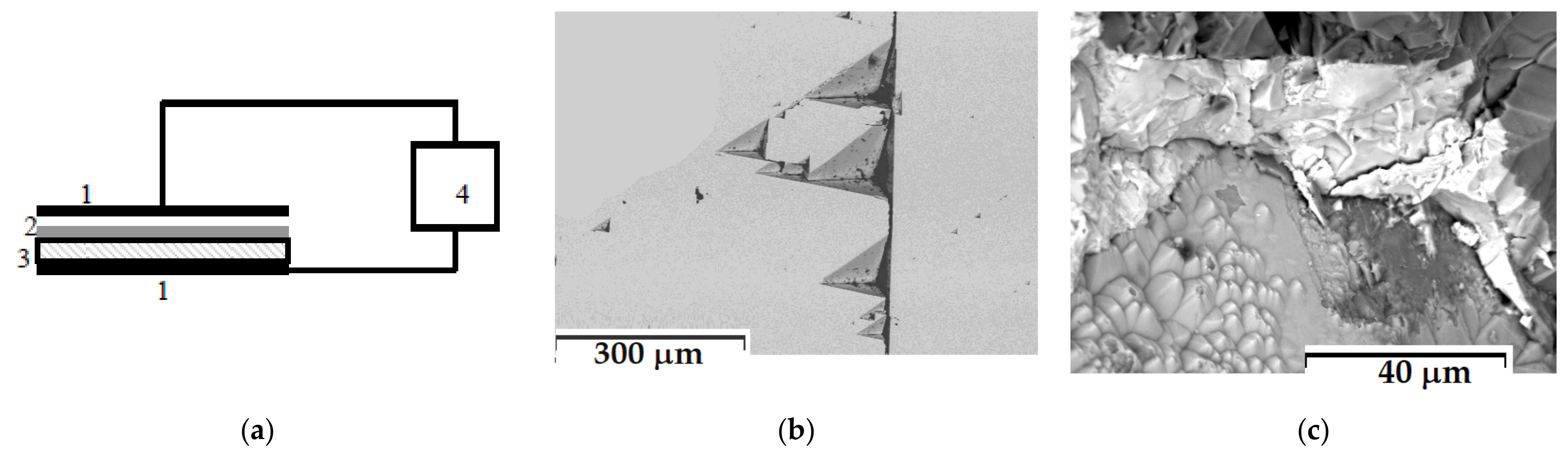 Minerals 12 01177 g007
