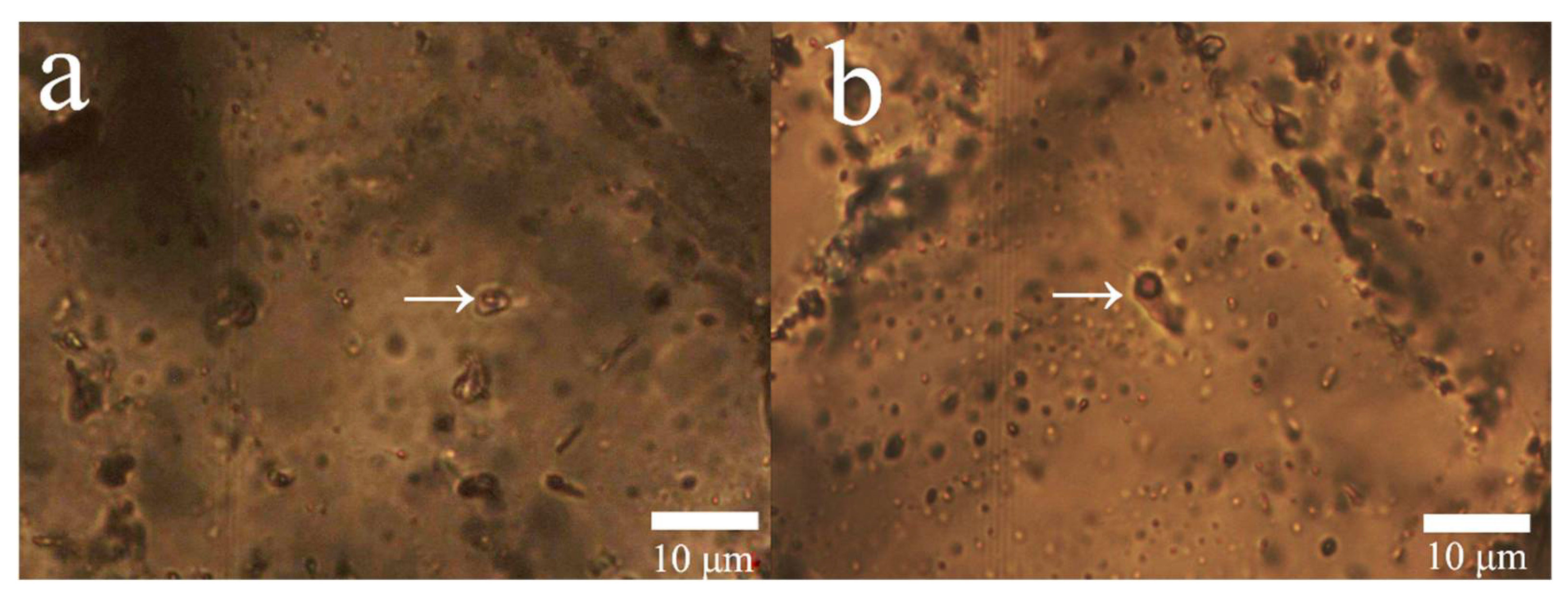 Minerals 12 01195 g009 550