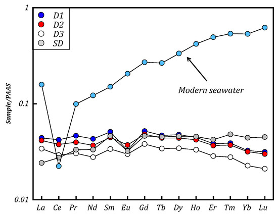 Petrographic, Rare Earth Elemental and Isotopic Constraints