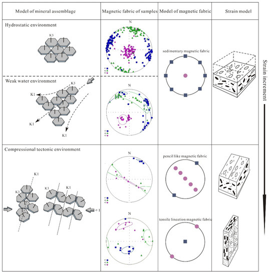 Minerals Free FullText Thrust Structure and Bidirectional