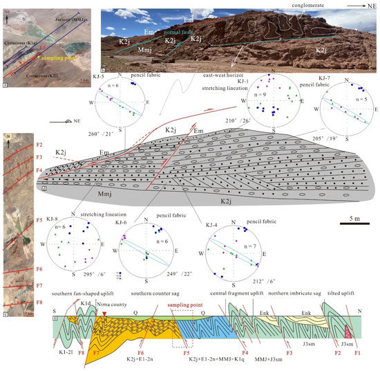高評価アイテム Thrust Structure the in Paleocurrent Bidirectional and 日焼け止め