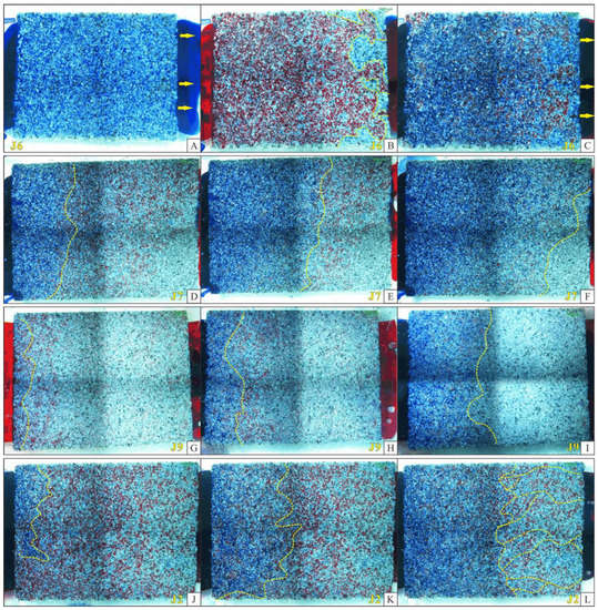 【レン】おまとめ3点 Sedimentary Environment and Model for Organic Matter