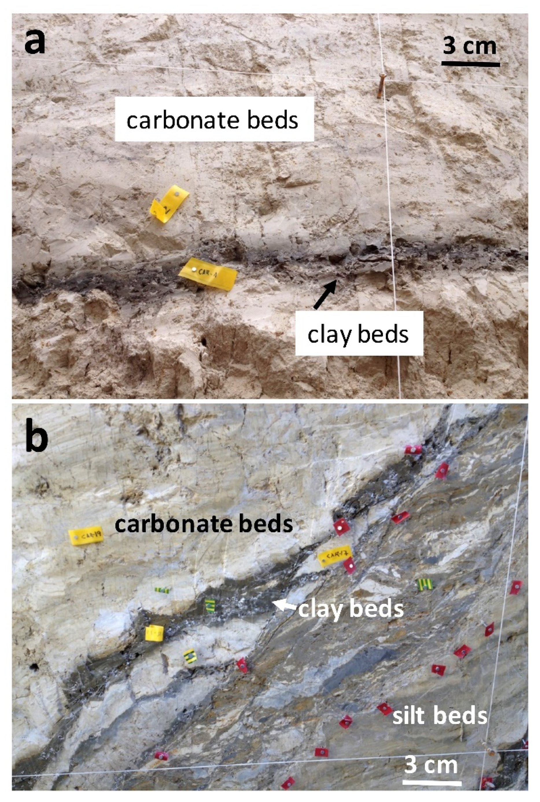 Minerals 12 01255 g003
